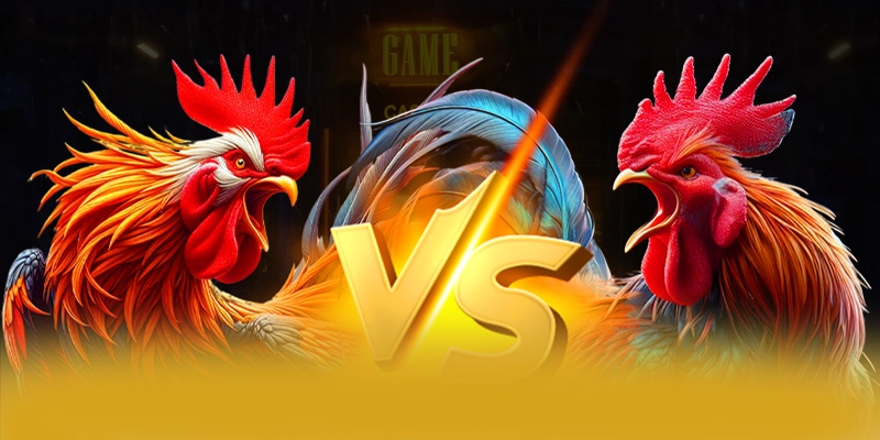 Câu hỏi thường gặp về BET168