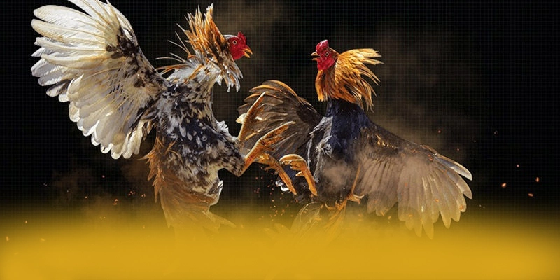 An toàn dữ liệu cá nhân tại BET168